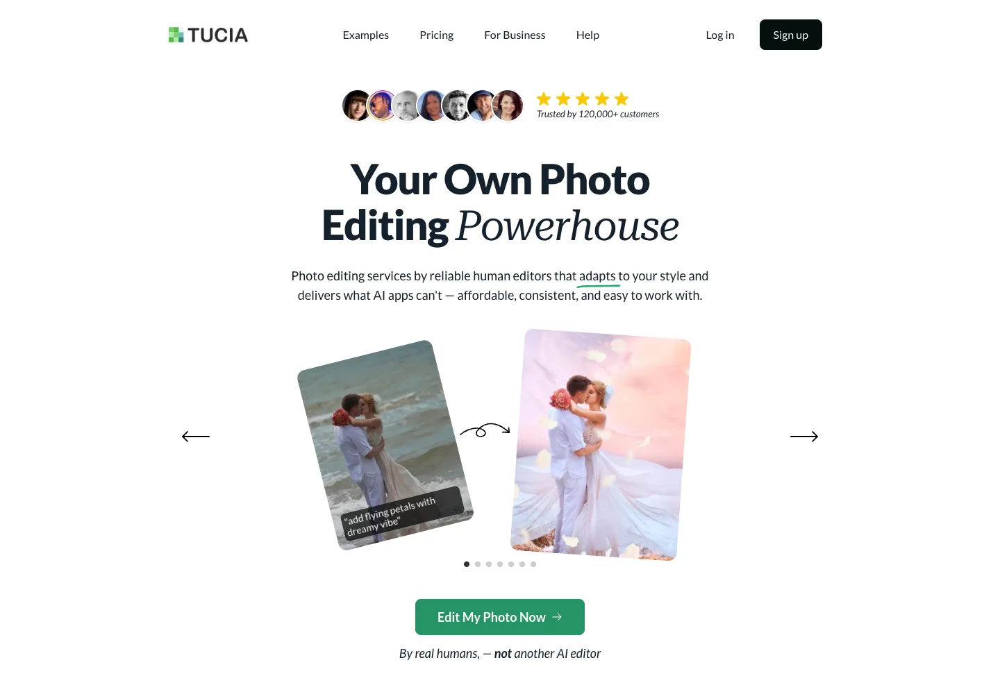 Tucia website homepage